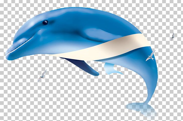 Common Bottlenose Dolphin Poster PNG, Clipart, Advertising, Animal, Animals, Beach, Beak Free PNG Download