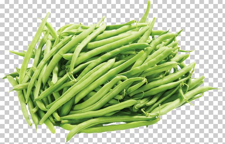 Green Bean Edamame Vegetable PNG, Clipart, Bean, Beetroot, Blackeyed Pea, Coffee Bean, Common Bean Free PNG Download