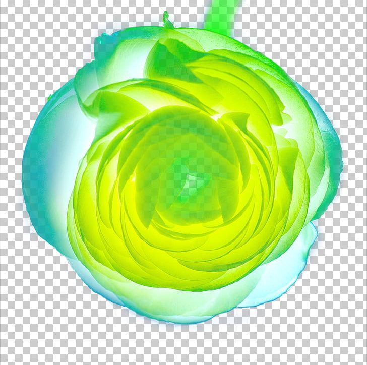 Green Circle PNG, Clipart, Art, Deductible, Effect, Effects, Flower Free PNG Download