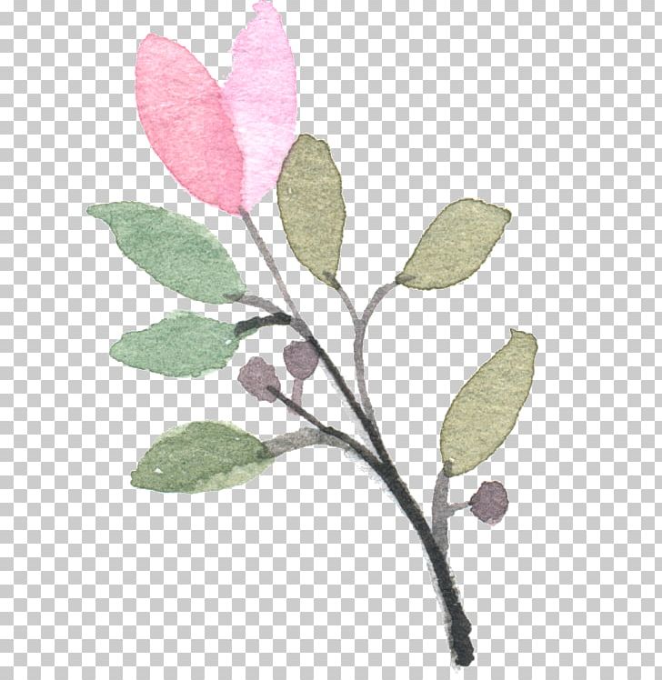 Modern Watercolor: A Playful And Contemporary Exploration Of Watercolor Painting Pink PNG, Clipart, Art, Branch, Color, Download, Flower Free PNG Download