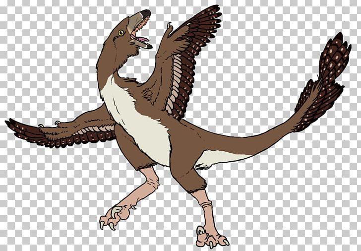 Velociraptor Tyrannosaurus Bird Of Prey Beak PNG, Clipart, Animal, Animal Figure, Animals, Beak, Bird Free PNG Download