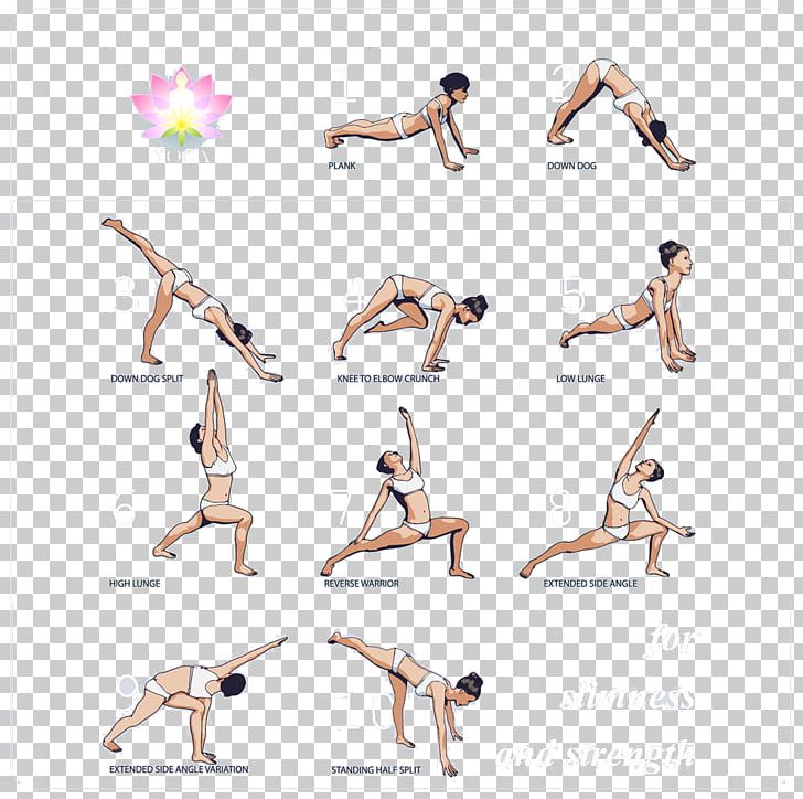 Yoga Photography Illustration PNG, Clipart, Abdomen, Arm, Bodybuilding, Comics, Dancer Free PNG Download
