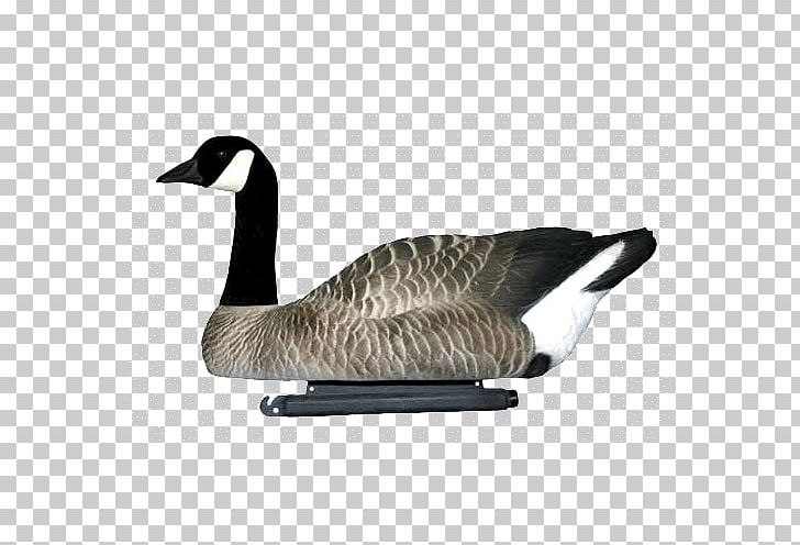 Canada Goose Mallard Dakota Decoy LLC PNG, Clipart, Anseriformes, Beak, Bird, Canada Goose, Dakota Free PNG Download