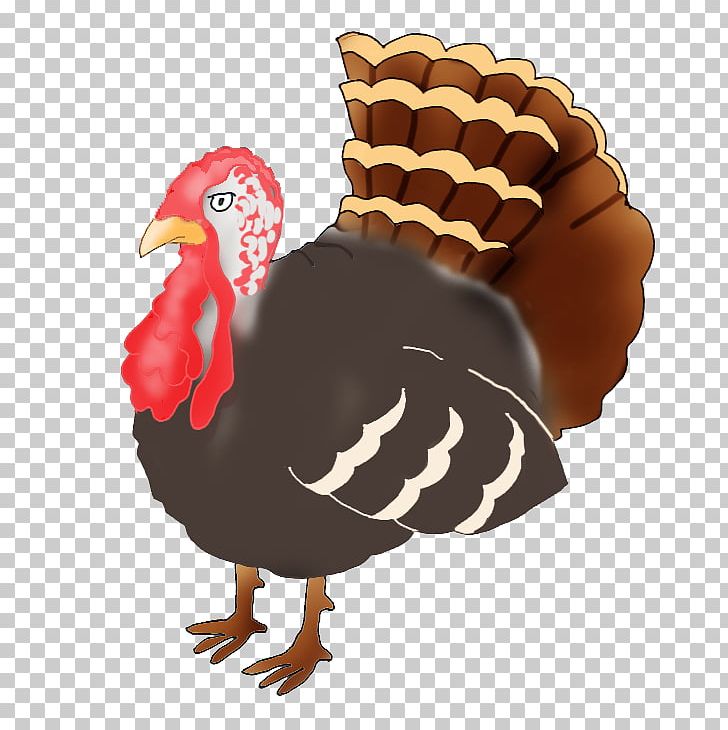 National Thanksgiving Turkey Presentation Turkey Meat PNG, Clipart, Beak, Bird, Chicken, Domesticated Turkey, Drawing Free PNG Download