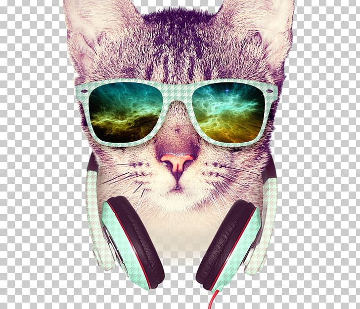Sticker Hipster Decal PNG, Clipart, Cat, Cool, Cool Cat, Decal, Eyewear Free PNG Download