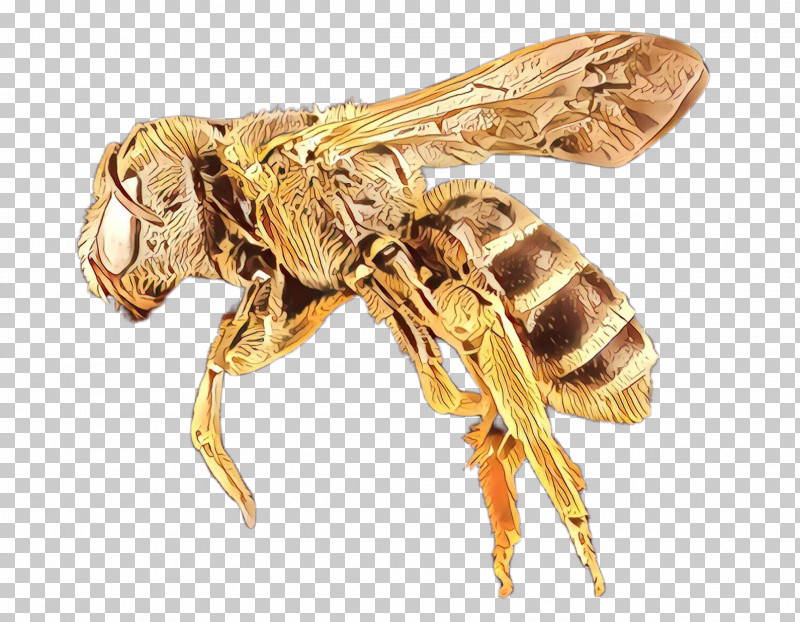 Insect Bee Membrane-winged Insect Pest Eumenidae PNG, Clipart, Bee, Eumenidae, Honeybee, Insect, Membranewinged Insect Free PNG Download