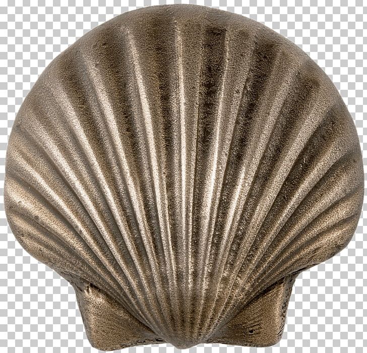 Metal Scalloped Seashell PNG, Clipart, Food, Seashells Free PNG Download