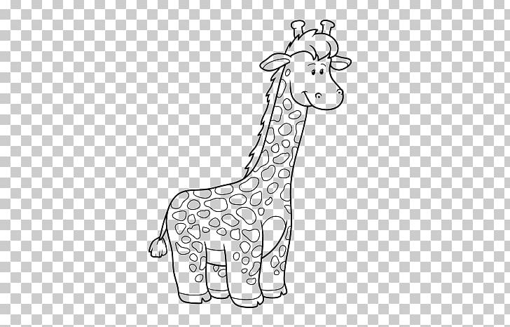 Northern Giraffe Drawing Coloring Book Photography PNG, Clipart, Black And White, Book, Child, Color, Coloring Book Free PNG Download