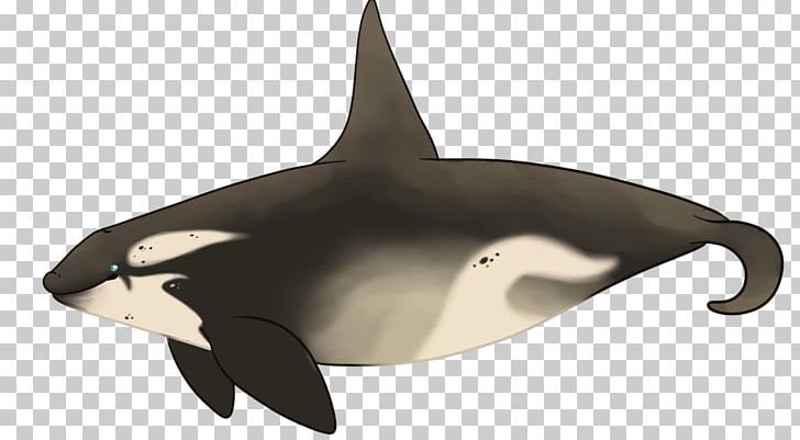 Tucuxi White-beaked Dolphin Killer Whale Fauna PNG, Clipart, Art, Cetacea, Dolphin, Fauna, Fin Free PNG Download