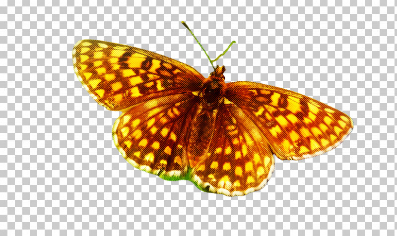 Moths And Butterflies Butterfly Insect Pollinator Brush-footed Butterfly PNG, Clipart, Boloria, Brushfooted Butterfly, Butterfly, Euphydryas, High Brown Fritillary Free PNG Download