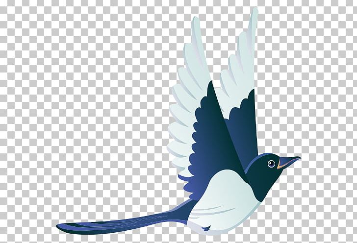 Bird Flight Mallard PNG, Clipart, Animal, Beak, Bird, Bird Cage, Bird Flight Free PNG Download