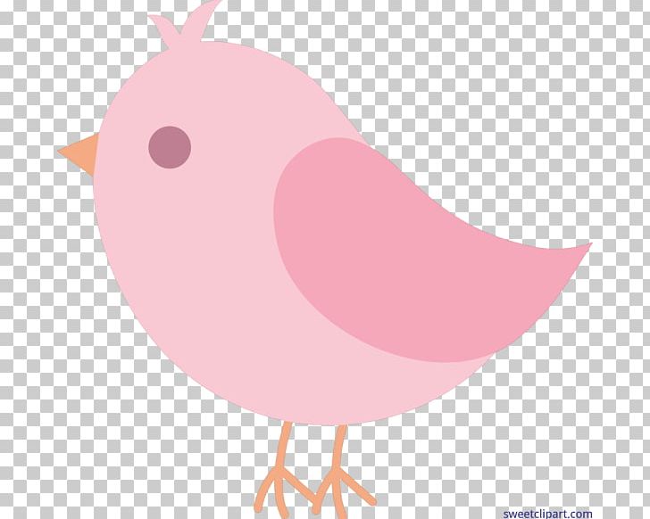Lovebird PNG, Clipart, Animals, Beak, Bird, Bird Clipart, Bird Nest Free PNG Download