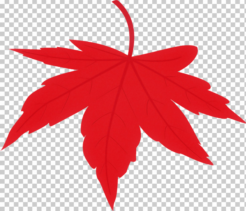 Maple Leaf Fallen Leaf Dead Leaf PNG, Clipart, Autumn Leaf, Black Maple, Dead Leaf, Fallen Leaf, Flower Free PNG Download