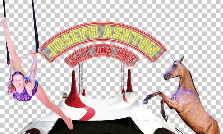 Circus Joseph Ashton Actor Clown Horse PNG, Clipart, Actor, Bridle, Circus, Circus Joseph Ashton, Clown Free PNG Download