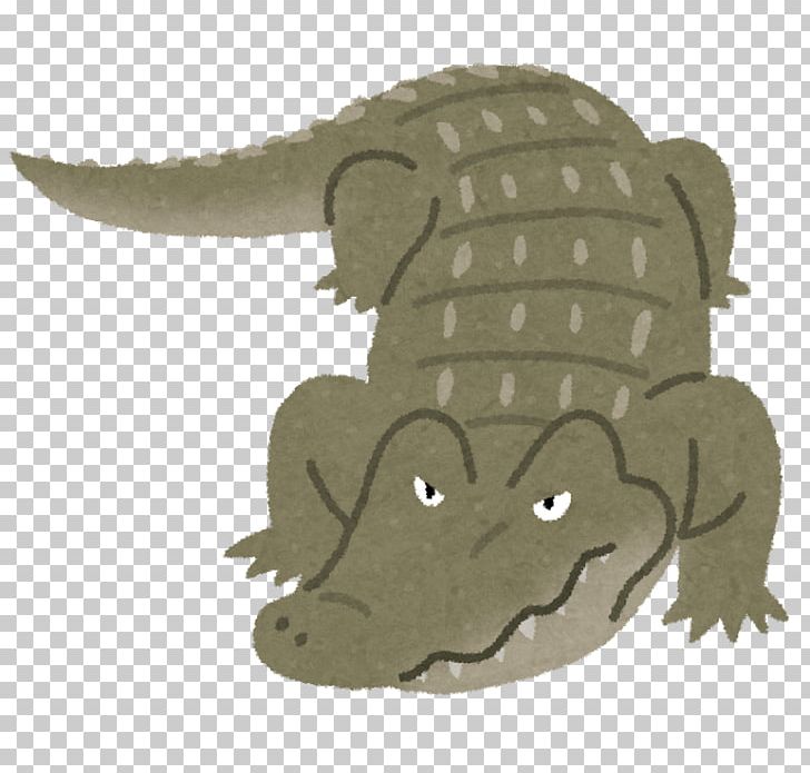 Florida Person 体長 Child Crocodiles PNG, Clipart, Child, Crocodile, Crocodiles, Crocodilia, Florida Free PNG Download