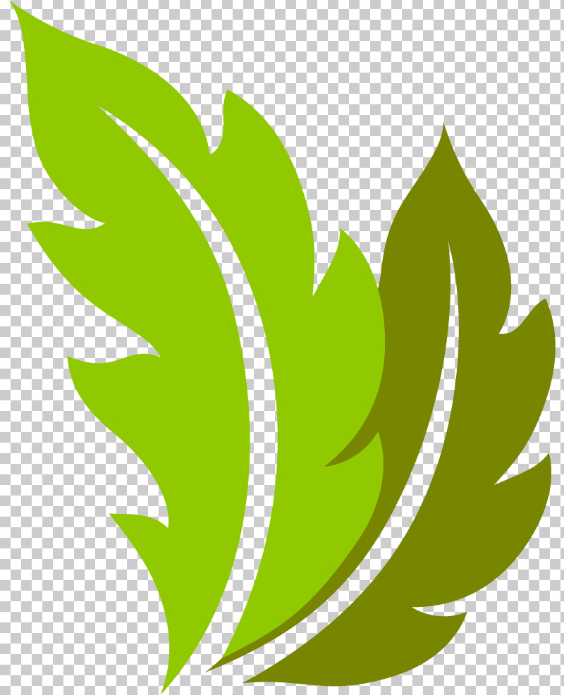 Leaf Plant Stem Flower Green M-tree PNG, Clipart, Biology, Flower, Green, Leaf, Line Free PNG Download