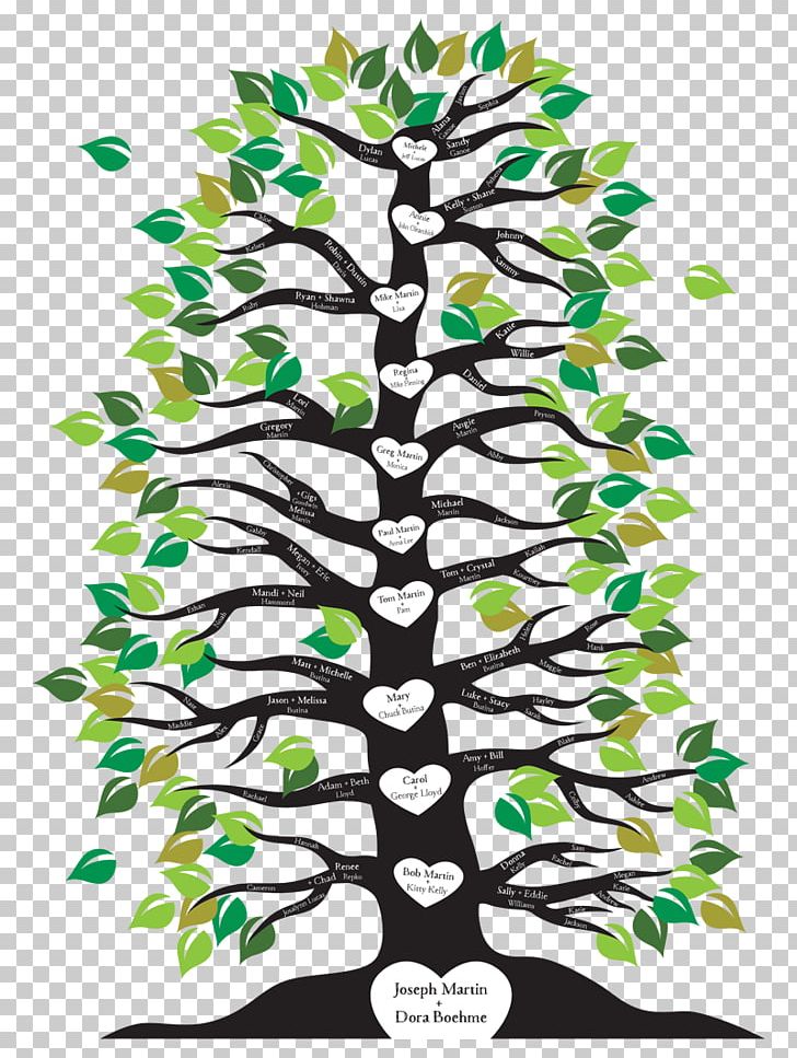 Family Tree Branch Root PNG, Clipart, Aunt, Branch, Family, Family Reunion, Family Tree Free PNG Download