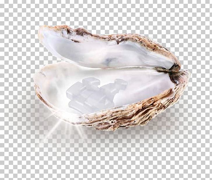 The Pearl Gemstone Pinctada Maxima Cultured Pearl PNG, Clipart, Birthstone, Bowl, Choker, Clam, Clams Oysters Mussels And Scallops Free PNG Download