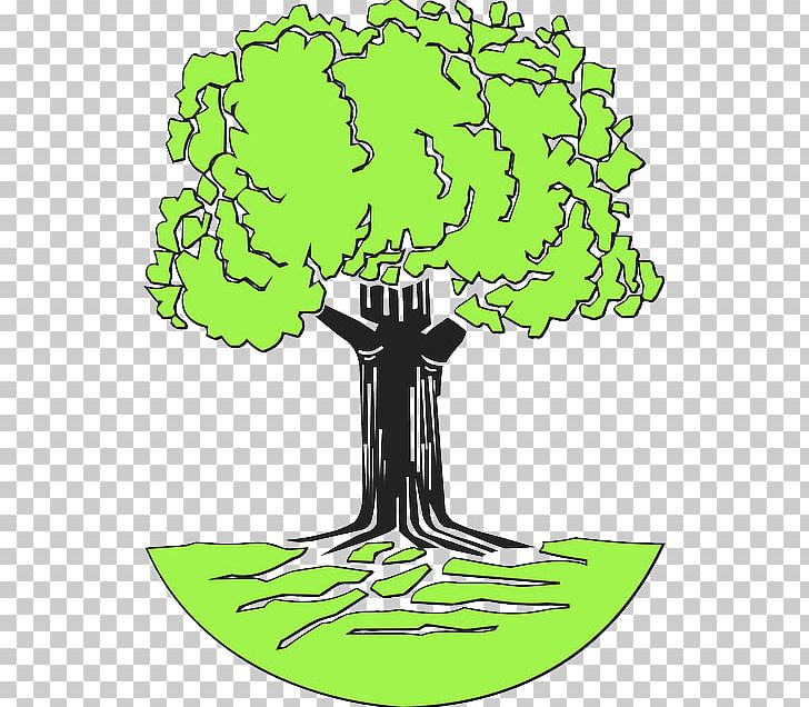 Tree Drawing Root PNG, Clipart, Agac, Area, Arecaceae, Artwork, Black And White Free PNG Download