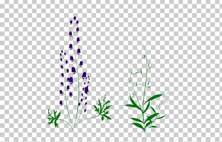 Lavender Grasses Plant Stem Leaf Font PNG, Clipart, Aquarium, Aquarium Decor, Branch, Family, Flora Free PNG Download