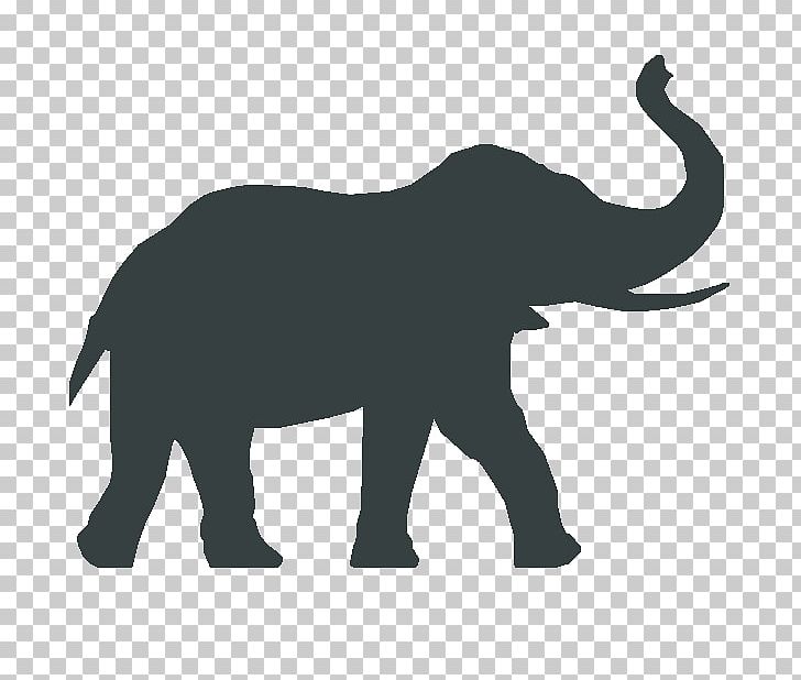 African Elephant Simpsonville Elephant Guest House Internet PNG, Clipart, African Elephant, Animal, Animals, Black And White, Carnivoran Free PNG Download