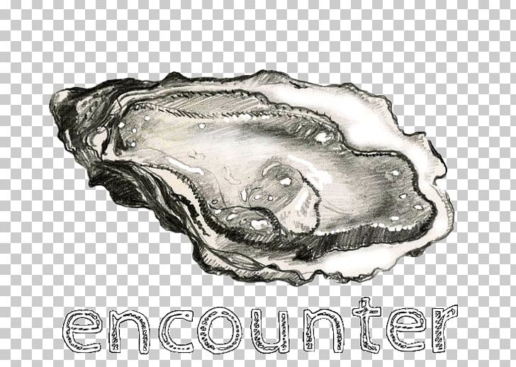 Oyster Bar Mussel Drawing Clam PNG, Clipart, Abalone, Animals, Animal Source Foods, Art, Black And White Free PNG Download