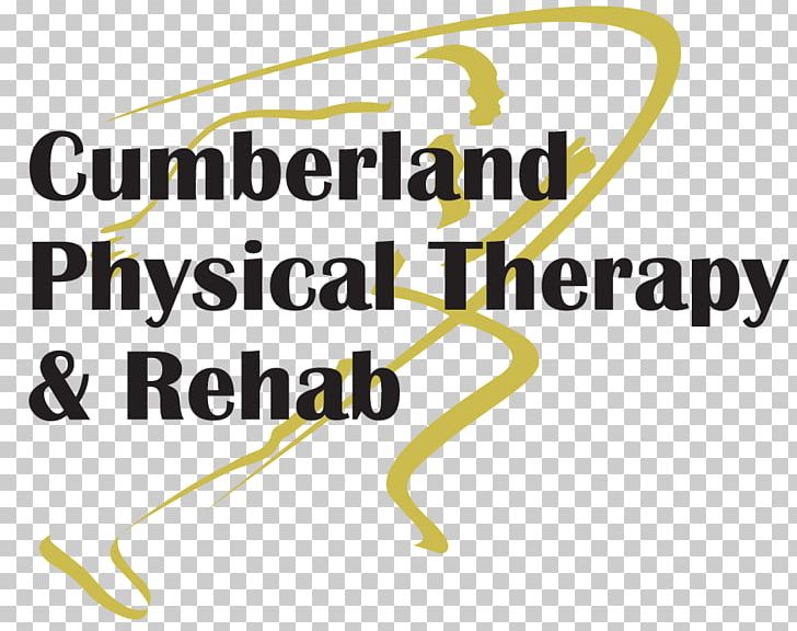 Physical Therapy Physical Medicine And Rehabilitation Range Of Motion Brand PNG, Clipart, Ankle, Area, Brand, Cardiovascular Fitness, Fall Prevention Free PNG Download