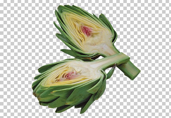 Artichoke Food Kohlrabi PNG, Clipart, Artichoke, Austral Pacific Energy Png Limited, Brussels Sprout, Bud, Cabbage Free PNG Download