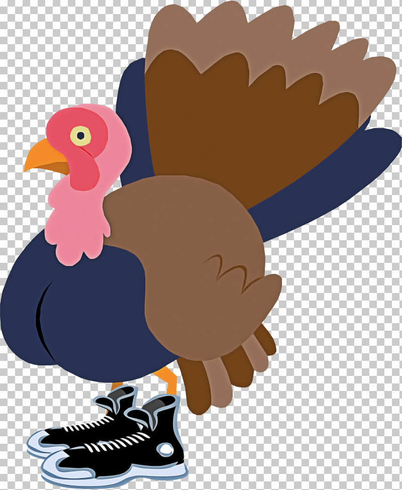 Bird Cartoon Turkey Beak Vulture PNG, Clipart, Andean Condor, Beak, Bird, Cartoon, Flightless Bird Free PNG Download