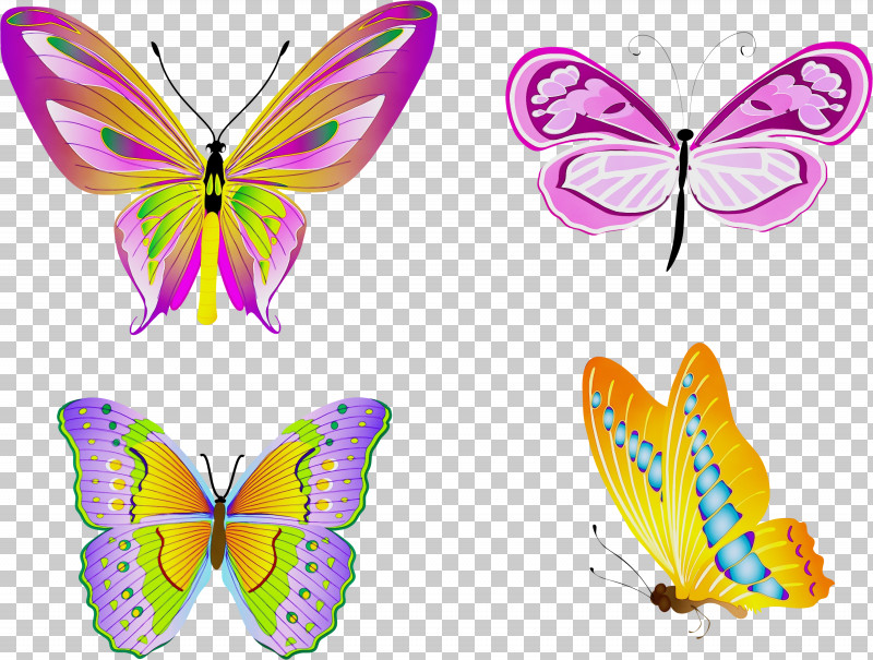 Butterfly Insect Moths And Butterflies Wing Symmetry PNG, Clipart, Brushfooted Butterfly, Butterfly, Insect, Lycaenid, Moths And Butterflies Free PNG Download