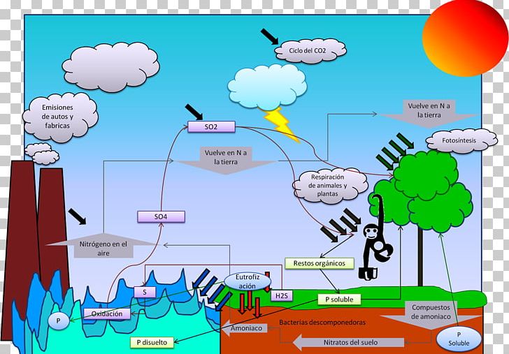 Biogeochemical Cycle Biogeochemistry Chemical Element Ecosystem Water Resources PNG, Clipart, Area, Balloon, Biogeochemical Cycle, Biogeochemistry, Biology Free PNG Download