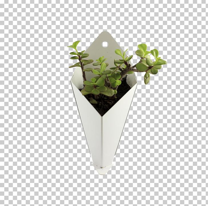 Flowerpot Clic-clac Material Length PNG, Clipart, Clicclac, Couch, Cut Flowers, Floral Design, Flower Free PNG Download