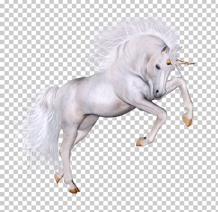 Unicorn PNG, Clipart, Unicorn Free PNG Download