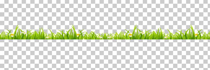 Grasses Green PNG, Clipart, Angle, Artificial Grass, Cartoon Grass, Computer, Computer Wallpaper Free PNG Download
