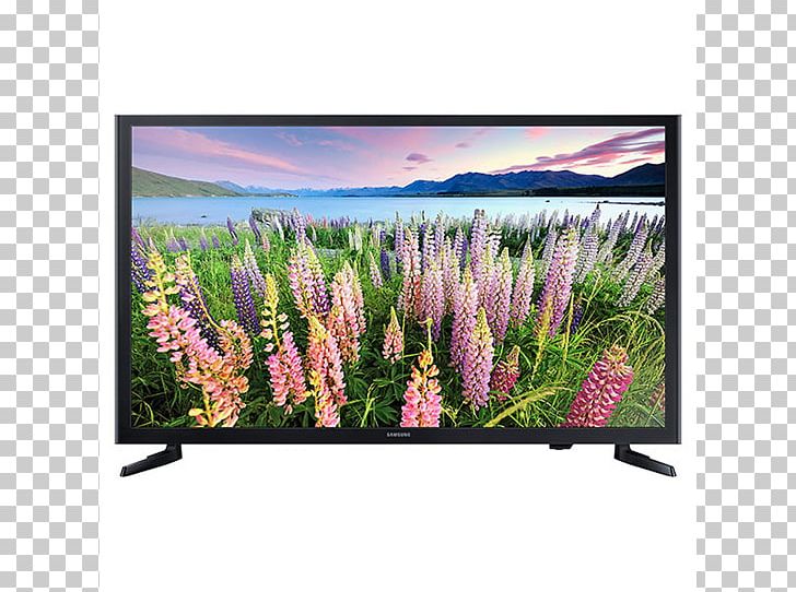 Samsung LED-backlit LCD High-definition Television 1080p Smart TV PNG, Clipart, 1080p, Display Device, Flat Panel Display, Flower, Grass Free PNG Download