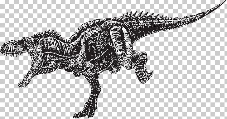 Tyrannosaurus Daspletosaurus Albertosaurus Carcharodontosaurus T-shirt PNG, Clipart, Animals, Bicycle, City Silhouette, Dinosaur Silhouette, Large Dinosaurs Free PNG Download