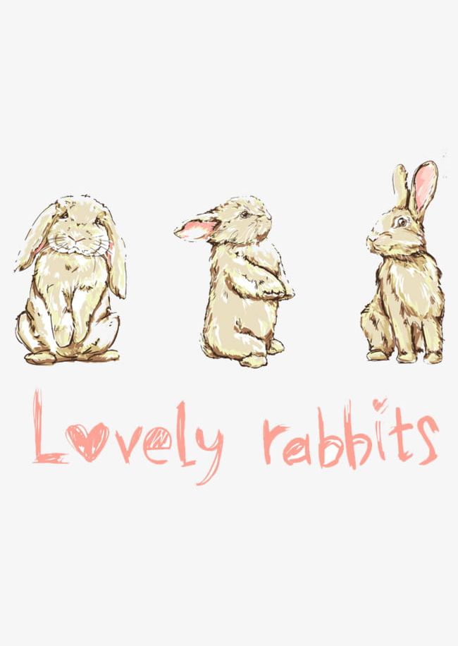 Watercolor Rabbit PNG, Clipart, Animal, Art, Ears, Hand, Long Free PNG Download