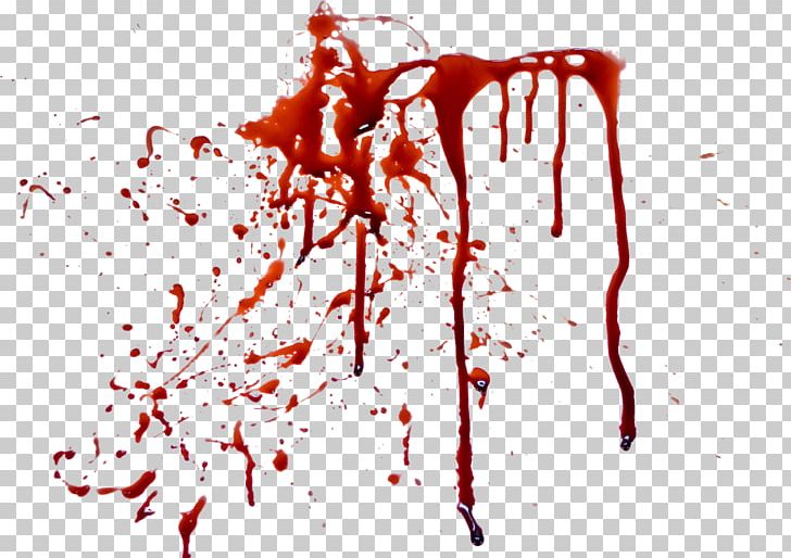 Blood PNG, Clipart, Blood, Blood Plasma, Blood Splatter, Blood Splatter Png, Clip Art Free PNG Download