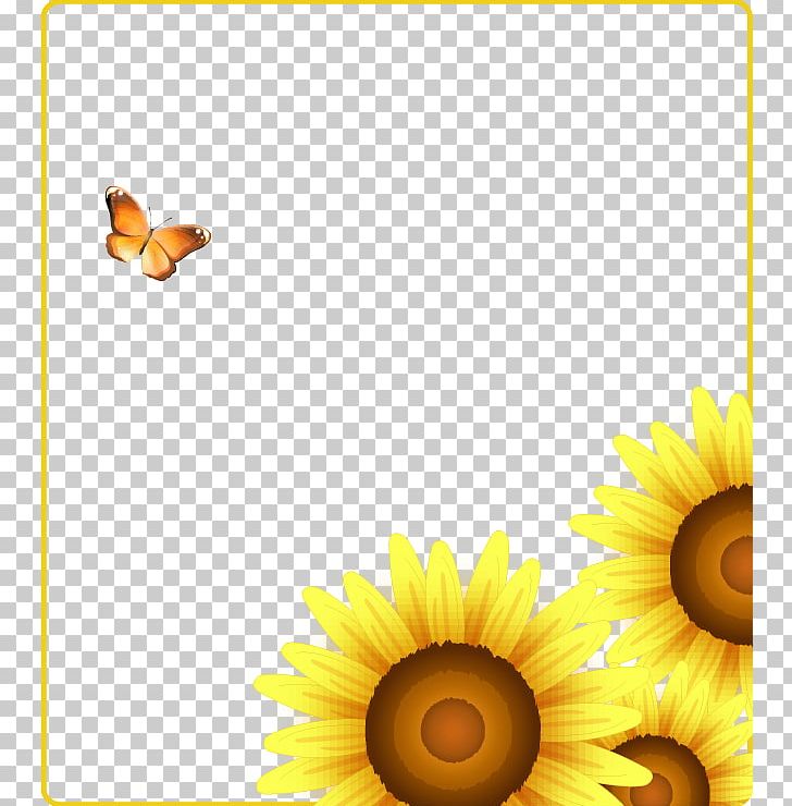 Common Sunflower PNG, Clipart, Christmas Decoration, Daisy Family, Encapsulated Postscript, Fashion, Fashion Girl Free PNG Download