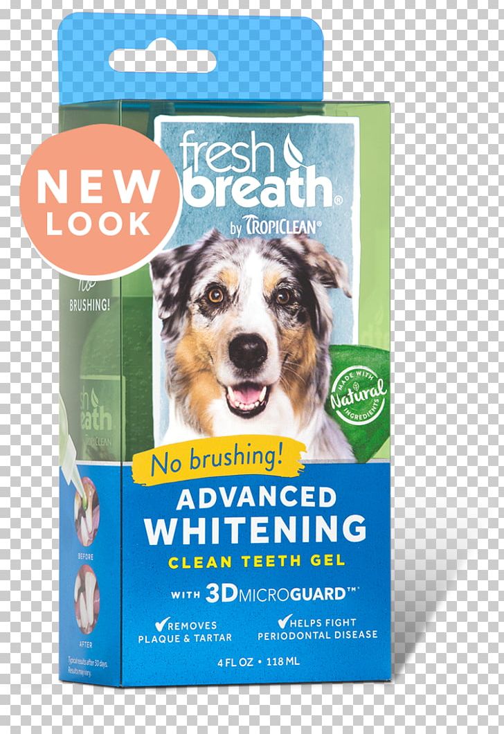 Dog Teeth Cleaning Tooth Whitening Cat Oral Hygiene PNG, Clipart, Animals, Cat, Cleaning, Dental Calculus, Dental Plaque Free PNG Download