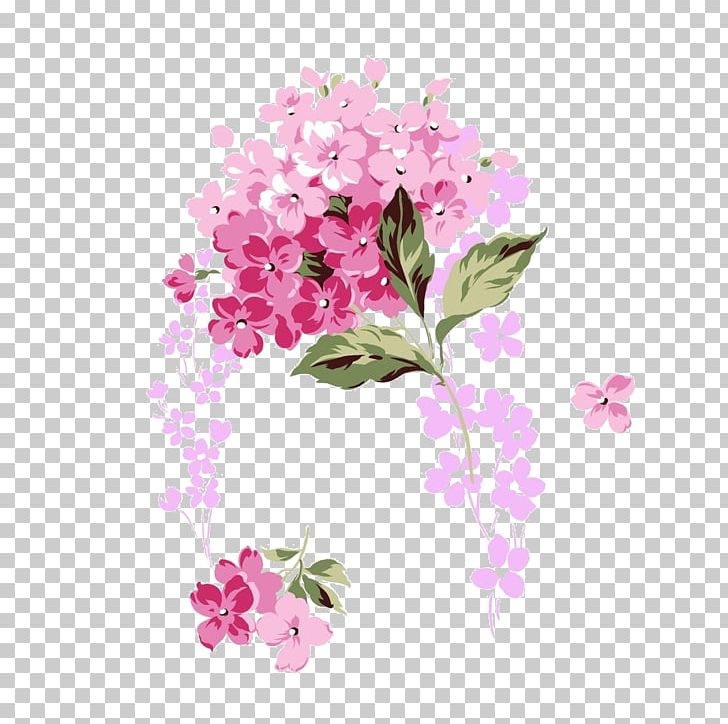 French Hydrangea Pink Flower PNG, Clipart, Branch, Cherry Blossom, Color, Cut Flowers, Download Free PNG Download