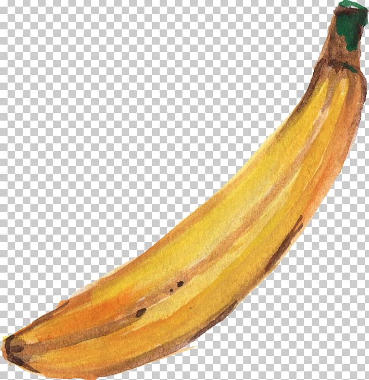 Banana Watercolor Painting Paper PNG, Clipart, Acrylic Paint, Art, Art Museum, Banana, Banana Family Free PNG Download
