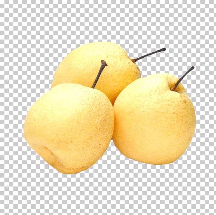 Pyrus Nivalis Eating Auglis Nutrition Food PNG, Clipart, Apple Pears, Asian Pear, Auglis, Catty, Citron Free PNG Download