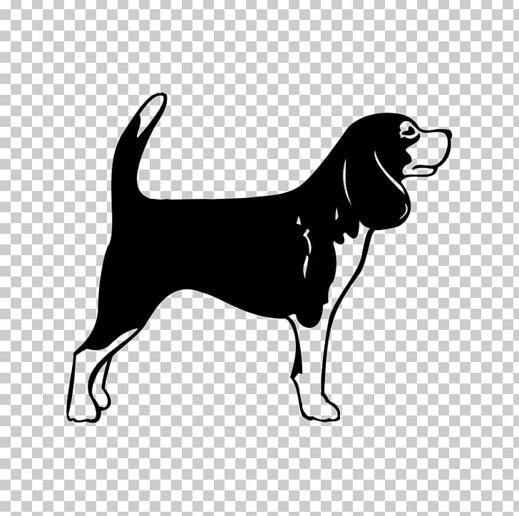 Scottish Terrier Beagle Cairn Terrier West Highland White Terrier Dog Breed PNG, Clipart, Black, Black And White, Breed, Cairn, Carnivoran Free PNG Download