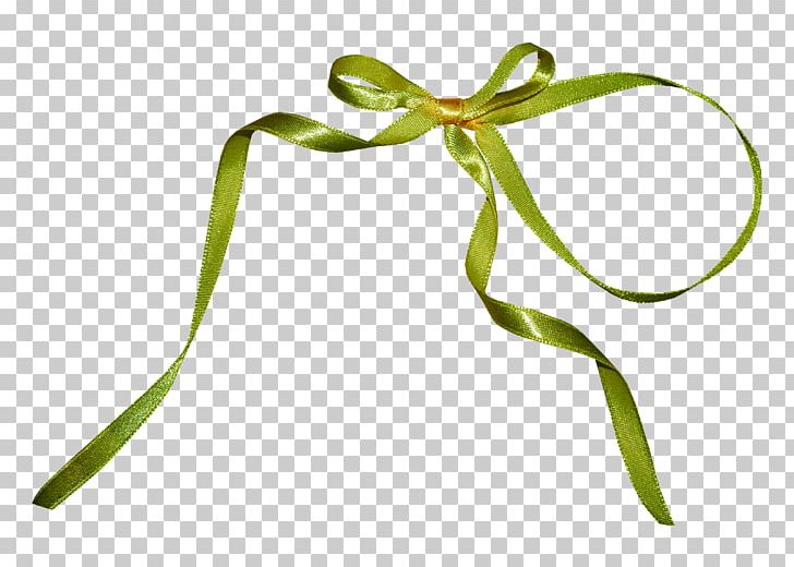 Silk Ribbon Green PNG, Clipart, Blue, Bow, Eye, Flower, Flowering Plant Free PNG Download