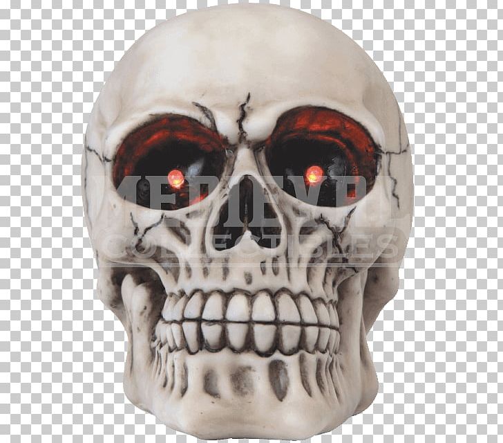 Skull Human Skeleton Jaw Head PNG, Clipart, Bone, Fantasy, Figurine, Head, Human Skeleton Free PNG Download