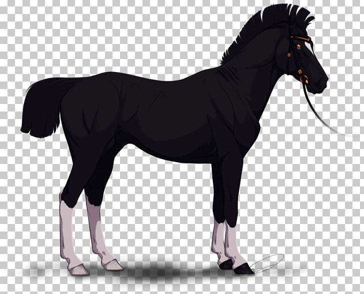 Stallion Mane Mare Mustang Pony PNG, Clipart, Animal, Bit, Bridle, Colt, Demetrios Free PNG Download