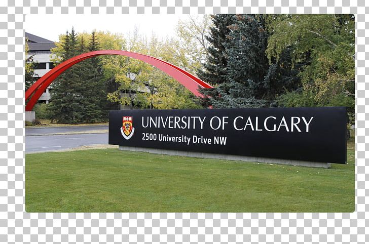 University Of Calgary Student School Master's Degree PNG, Clipart,  Free PNG Download