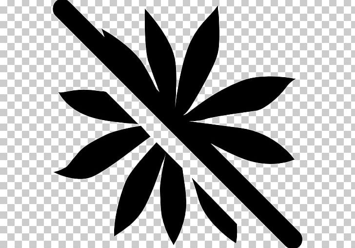 Computer Icons Drawing PNG, Clipart, Animals, Black And White, Branch, Cactaceae, Computer Icons Free PNG Download