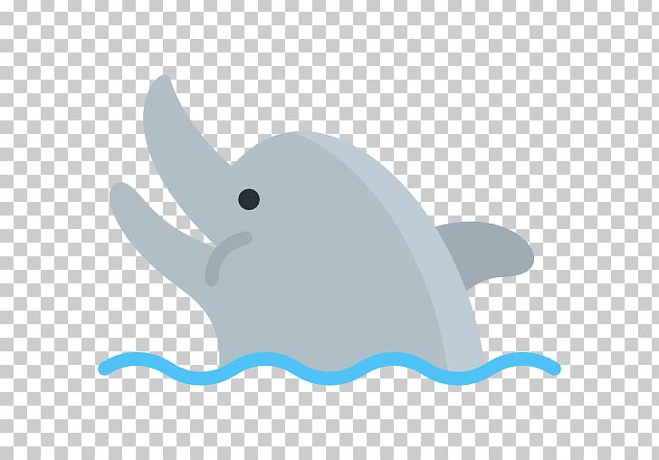 Dolphin Computer Icons PNG, Clipart, Animals, Beak, Bird, Blue, Cetacea Free PNG Download
